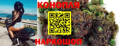 PSILOCYBIN Беслан