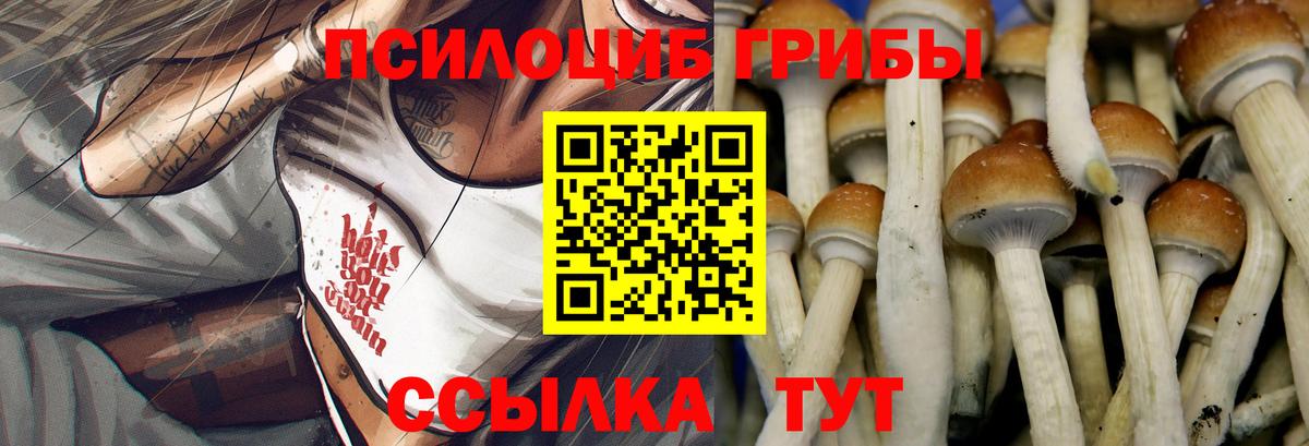 Галлюциногенные грибы прущие грибы Кингисепп